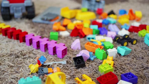 Multicolored Blocks of Plastic Children's Constructor are Scattered on the Carpet