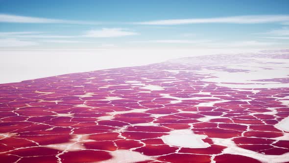 Beautiful View of Pink Lake on Summer Day