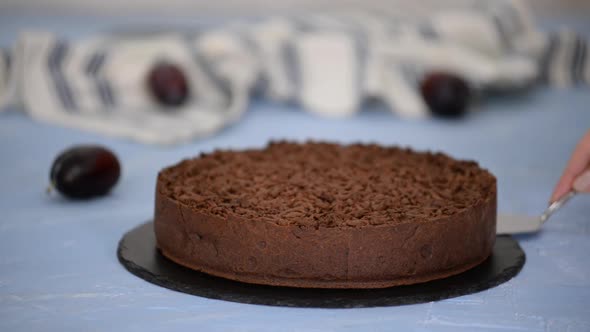 Homemade Shortbread Chocolate Cake with Plums