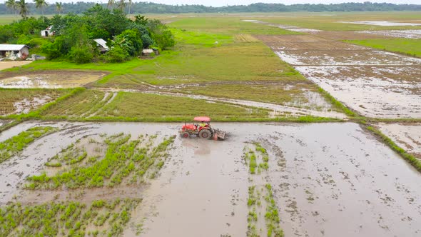 Tractor Is Plowing, Preparing the Soil for Rice Cultivation, To Make the Soil Friable, Suitable for