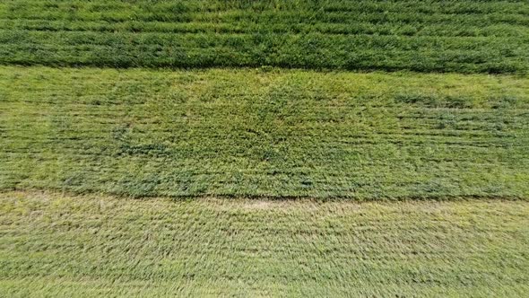 Aerial drone view of a flying over the rural agricultural landscape.