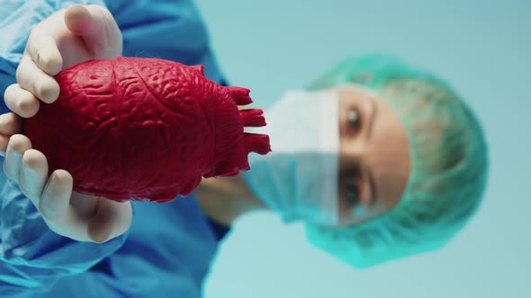 Vertical Video Caucasian Woman Doctor of Cardiology Showing Red Artificial Heart Medium Studio Shot