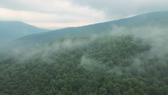 After Storm Mountains Mist Fog Green Forest