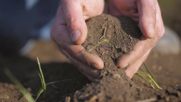 Soil and Agriculture