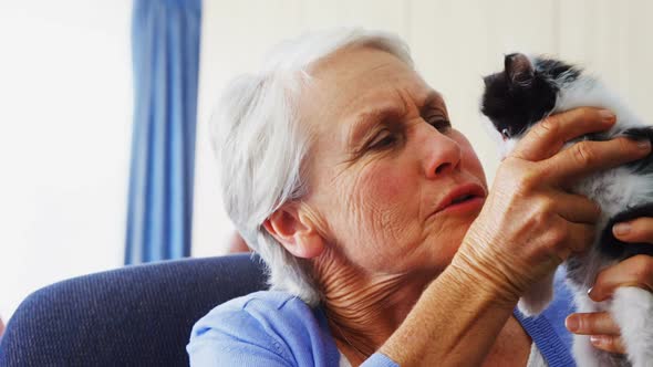 Senior women holding kitten while sitting on armchair at retirement home 4k