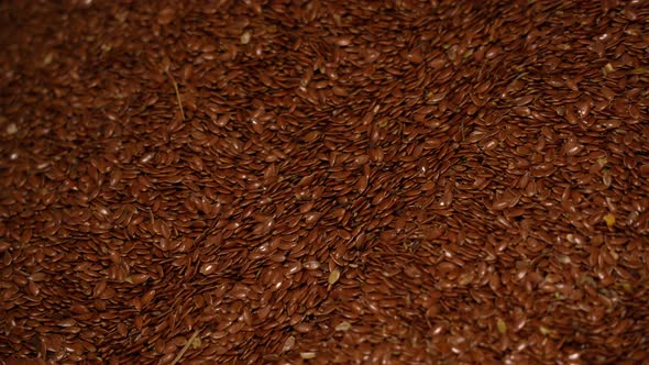 Grain flax sorting and grain cleaning