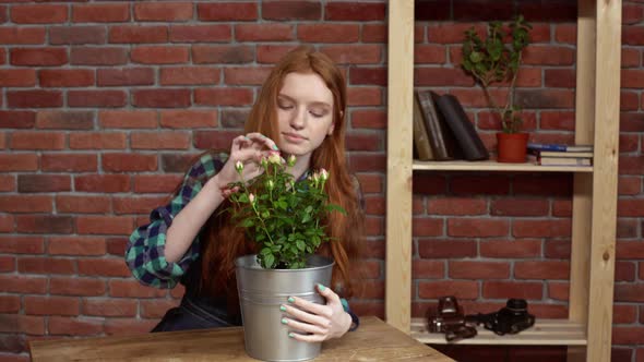 Beautiful Redhead Girl Looking After Flowers