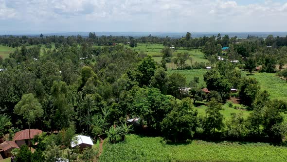Agricultural Fields in an Kenya Village