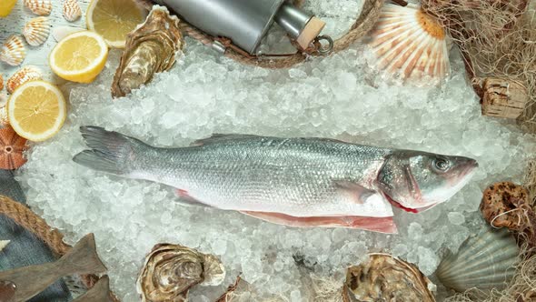 Super Slow Motion Shot of Falling Fresh Sea Bass Fish Into Crushed Ice at 1000 Fps