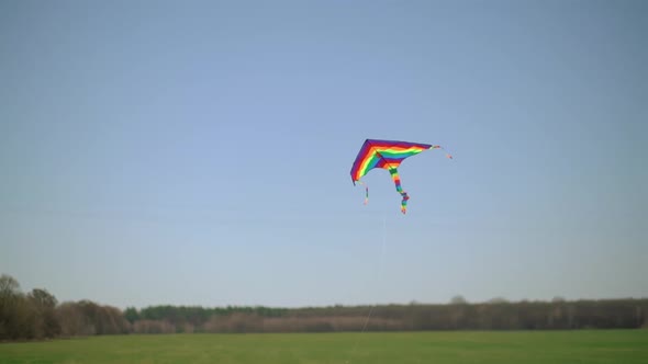 A Bright Rainbow Kite Lands on Green Grass