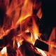 Burning Campfire at Night  CloseUp - VideoHive Item for Sale