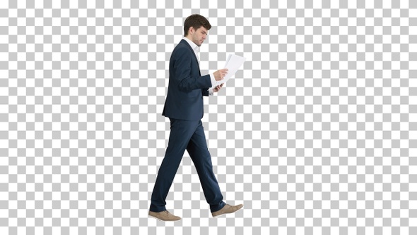 Concentrated Businessman reading documents, Alpha Channel