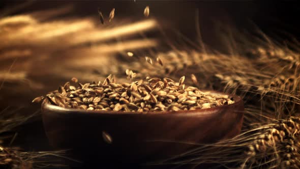 The Super Slow Motion of Wheat Grains Fall in the Bowl