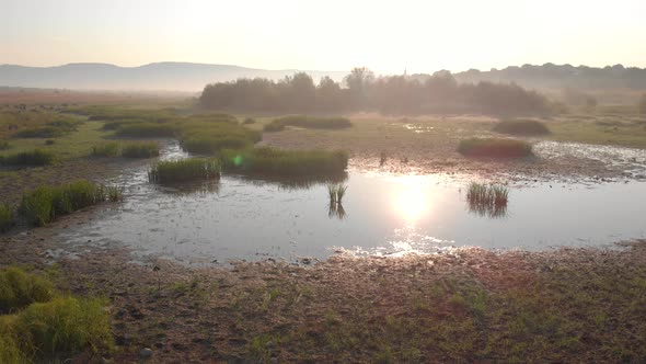 Swamp on the Field During Sunny Day