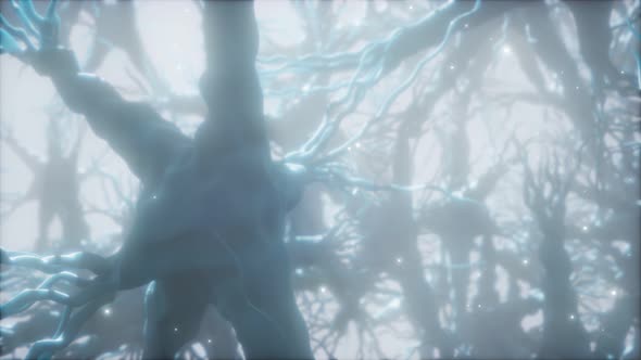 Journey Through a Neuron Cell Network Inside the Brain alt