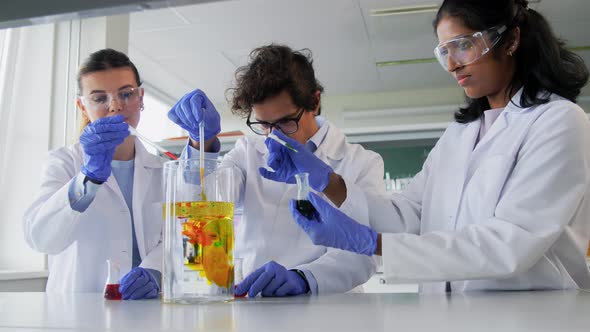 Scientists with Chemicals Working in Laboratory