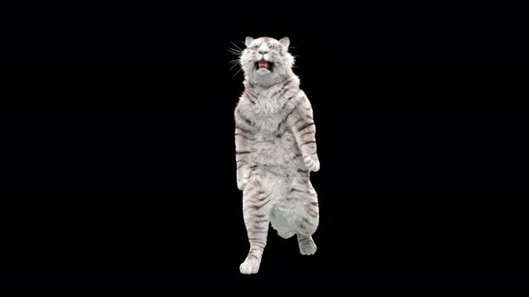 White Tiger 4K