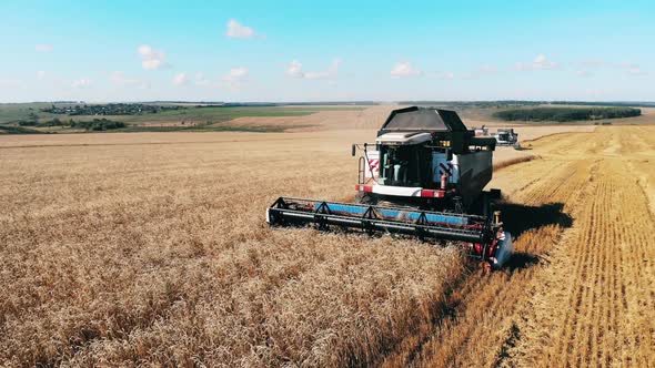 Grain Is Getting Harvested By the Farming Machines