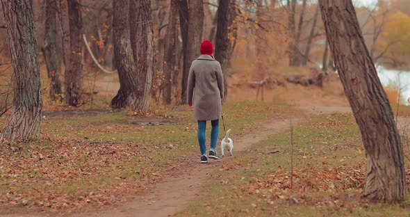 Walk with a Dog By the River in the Fall