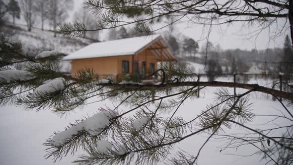 Spruce Branch on the Background of a Wooden House