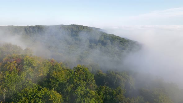 Morning Fabulous Fog Over the Green Forest Near the Big City. A Thick Fog Covered the Strip. Flight