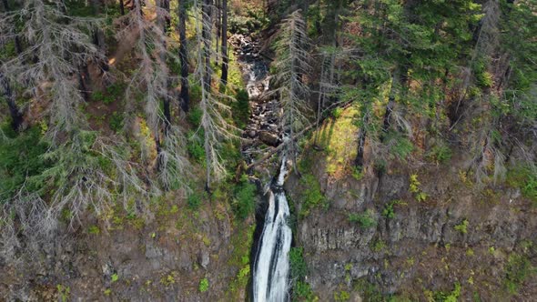Drone shot revealing a tall waterfall (Horsetail Falls) cascading over the cliffside in the Columbia