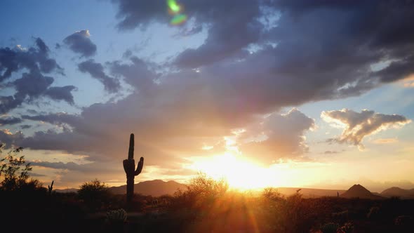 Glorious Desert Sunset with Saguaro