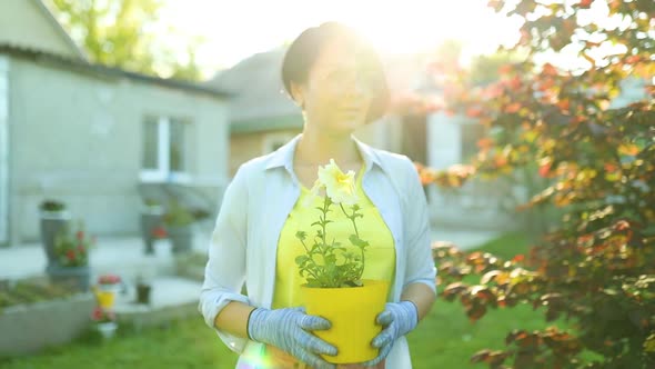 Woman walk with petunia surfinia flowers pot in hands