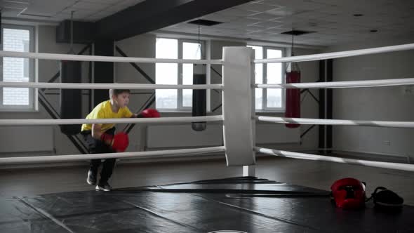 Little Boy in Boxing Gloves Jumping Into the Ring and Starts Hitting the Air