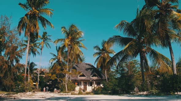 Tropical African Hotel with Thatched Roof Bungalows and Palm Trees Zanzibar