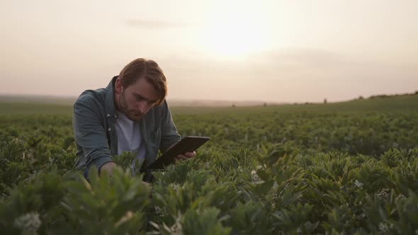 Bearded Man Sits with Black Tablet on a Field