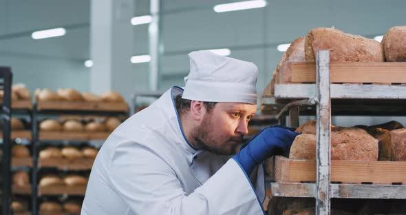 Charismatic Fat Baker Man Looking Through the