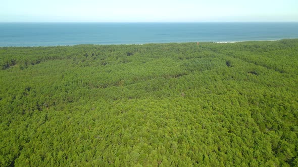 Drone slide motion along the baltic sea coast and green forest, Stilo Lighthouse in Osetnik, Polish