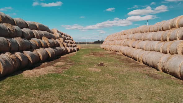 Aerial View a Hay Bales Are Stacked Large Stacks. Hay Bales Straw Storage Shed Full of Bales Hay on