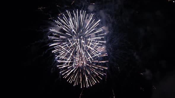 Colorful Fireworks in the Night Sky