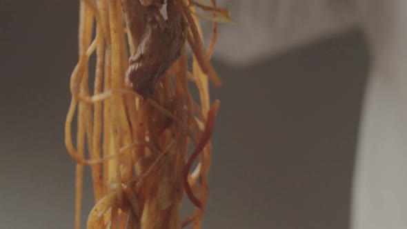 Professional Cook Frying Vegetables with Noodles