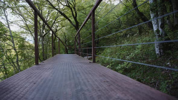 Metal bridge in the forest