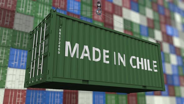 Loading Container with MADE IN CHILE Text
