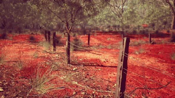 Dingoe Fence in the Australian Outback