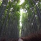 Arashiyama bamboo forest in Japan - VideoHive Item for Sale