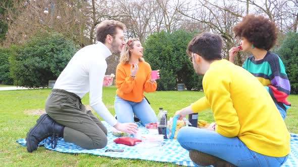 Four young students multi ethnic friends outdoor doing pic nic in a park