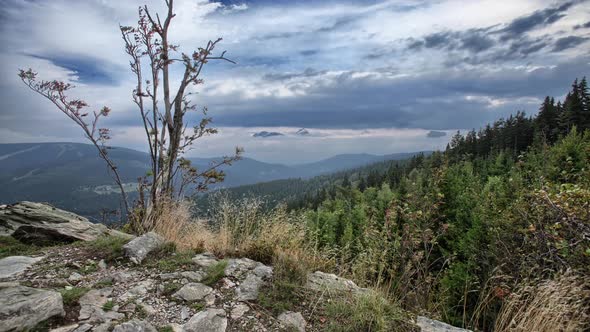 Time lapse of beautiful nature in the Czech Republic 