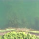Aerial View of the Shore of a Big Forest Lake Showing the Clear Water the Sandy Beach and the Trees - VideoHive Item for Sale