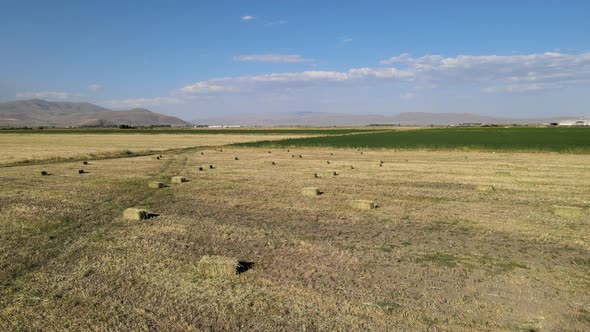 aerial straw bales fields