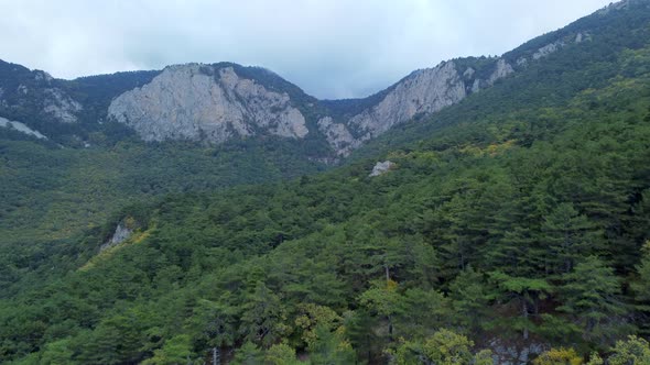 Aerial footage of a landscape with different colors of green forests during the fall season