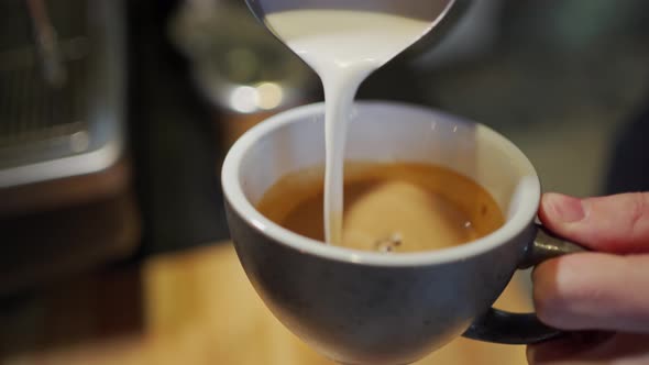 Barista's Hands Make Latte Art in the Shape of a Swan Pouring Frothed Milk Into a Gray Ceramic Mug