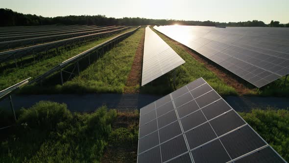 Aerial View of Solar Farm on the Green Field at Sunset Time Solar Panels in Row