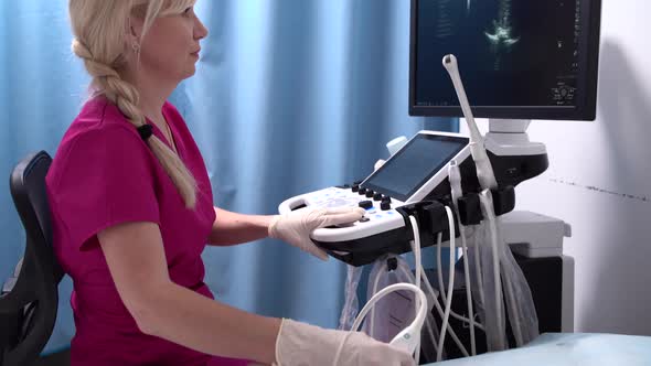 A Female Doctor Conducts an Ultrasound Examination of the Head and Brain of a Newborn Baby Using