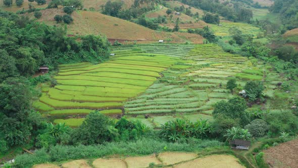 Rice Terraces in Doi Inthanon National Park in Chiang Mai Province, Thailand