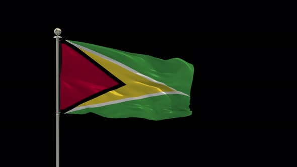 Guyana Looping Of The Waving Flag Pole With Alpha alt